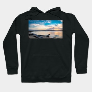 SUNSETS AND SUNRISES Hoodie